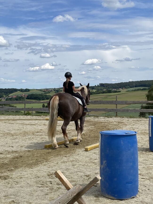 Pferdefreizeit Mai 2024