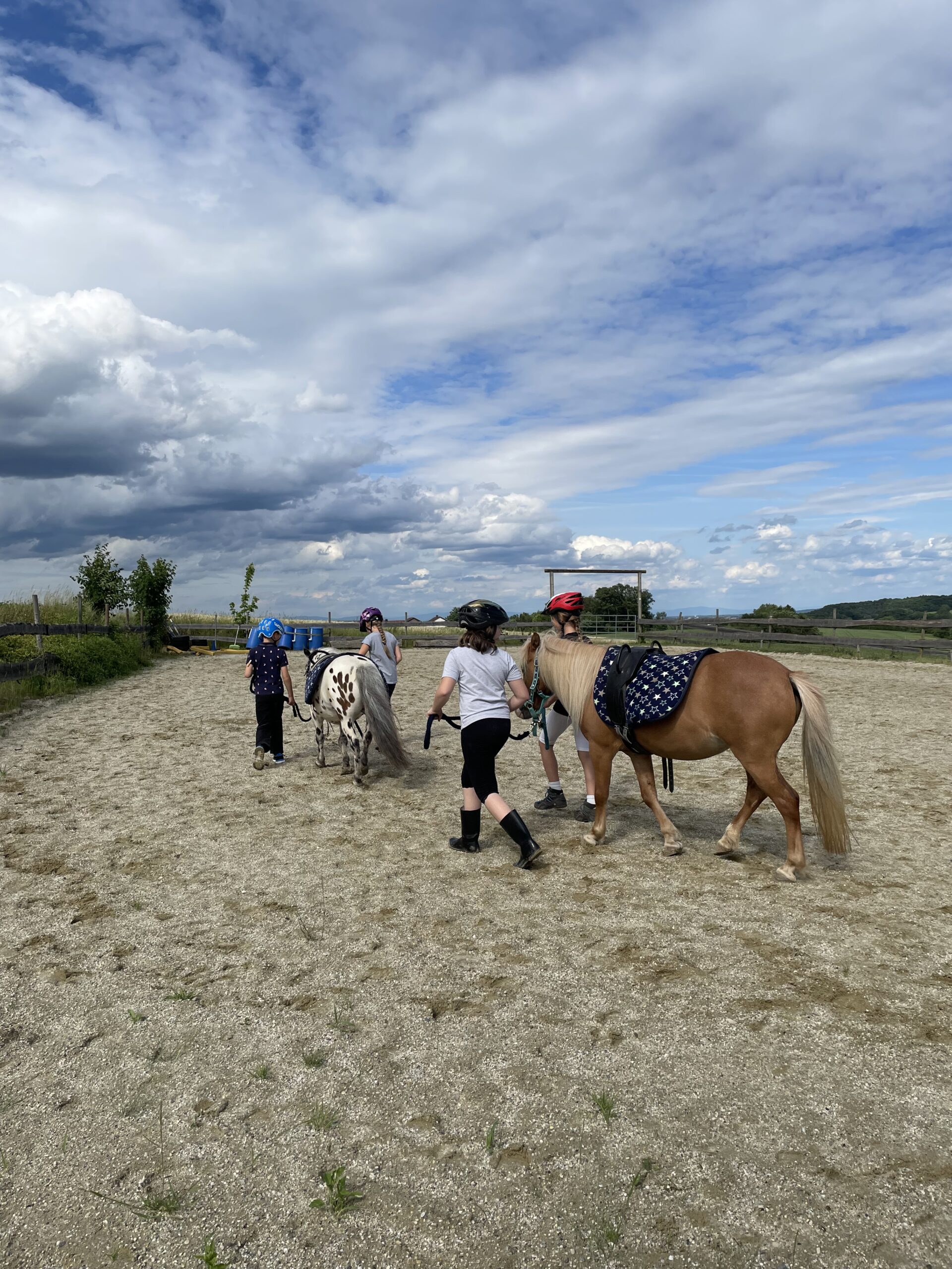 Pferdefreizeit (4)